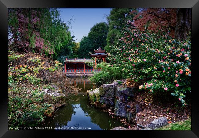 Chinese Garden in spring Framed Print by John Gilham