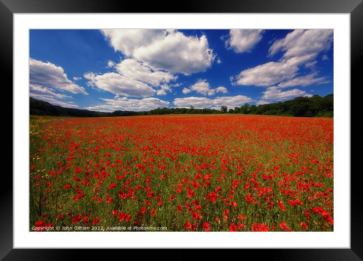 Poppy Field in The Gargen of England Kent UK Framed Mounted Print by John Gilham