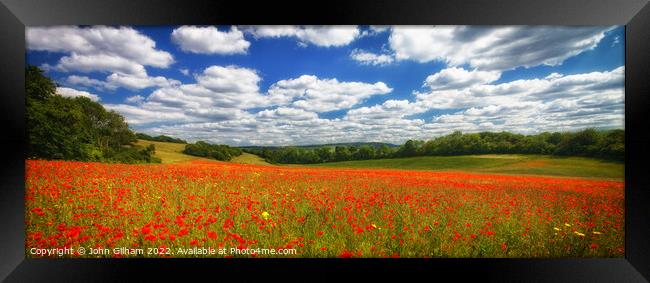 Poppy Panorama in the Garden of England - Kent UK. Framed Print by John Gilham