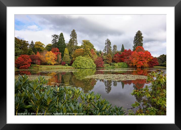 Autumn colours in an English Park Framed Mounted Print by John Gilham