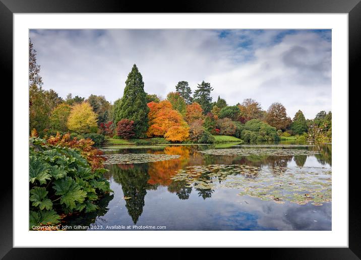 Autumn colours beyond the lake Framed Mounted Print by John Gilham