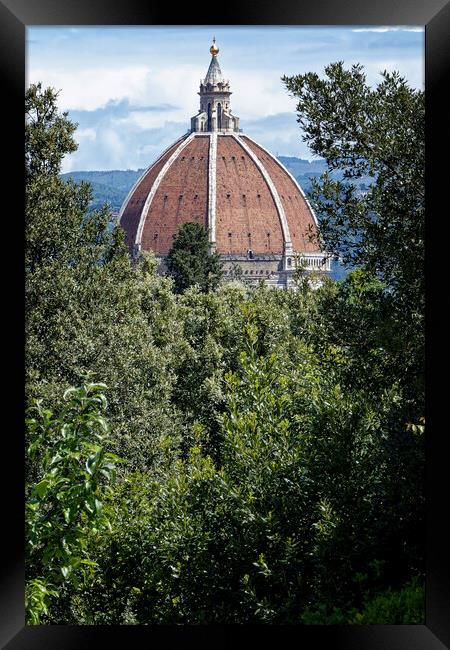 A peek through the trees at the Duomo in Florence Italy Framed Print by John Gilham
