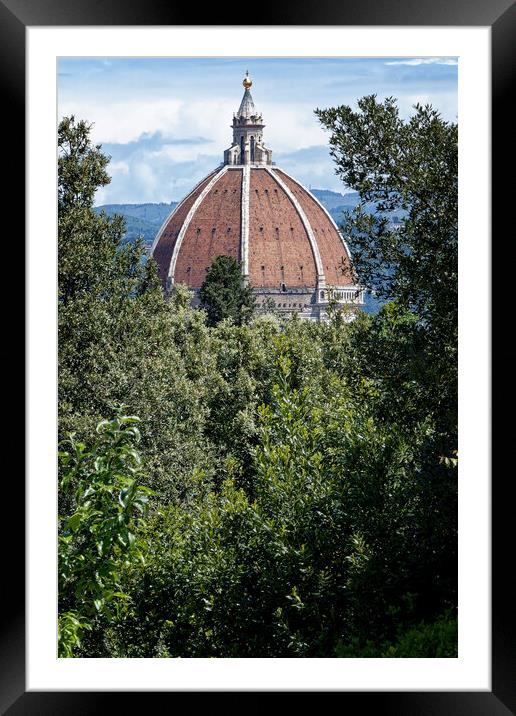 A peek through the trees at the Duomo in Florence Italy Framed Mounted Print by John Gilham