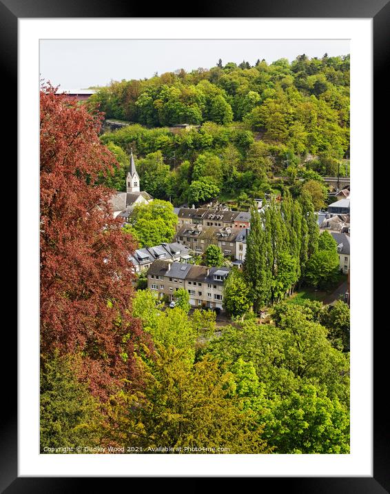 Luxe Springtime in the Green European Capital Framed Mounted Print by Dudley Wood