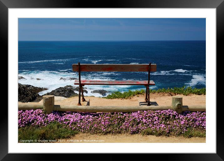 Bench with sea view Framed Mounted Print by Dudley Wood