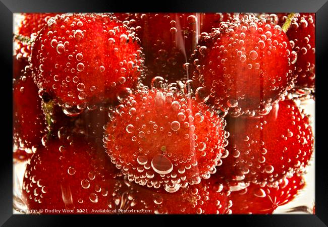 Fizzy Cherry Delight Framed Print by Dudley Wood