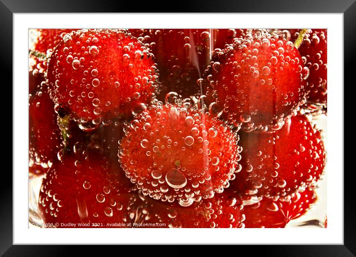 Fizzy Cherry Delight Framed Mounted Print by Dudley Wood