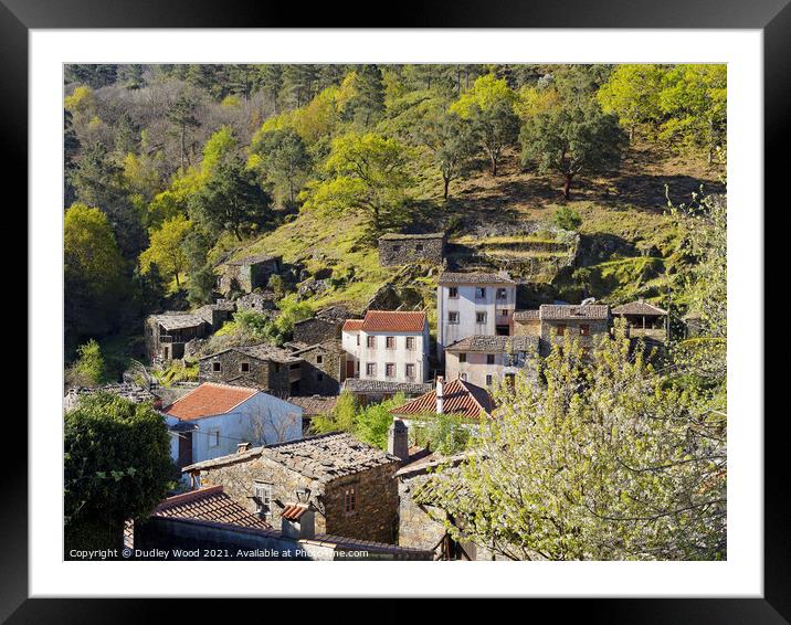 Rustic Charm on Wooded Slope Framed Mounted Print by Dudley Wood