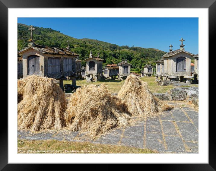 Stone granaries Framed Mounted Print by Dudley Wood