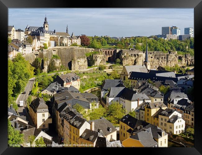 Enchanting Luxembourg A Rooftop View Framed Print by Dudley Wood