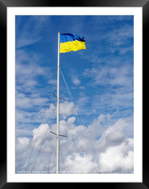 Proudly Soaring Ukrainian Flag Framed Mounted Print by Dudley Wood