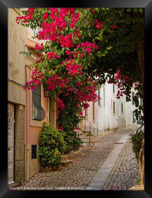Enchanting Cobbled Lane in Cascais, Portugal Framed Print by Dudley Wood