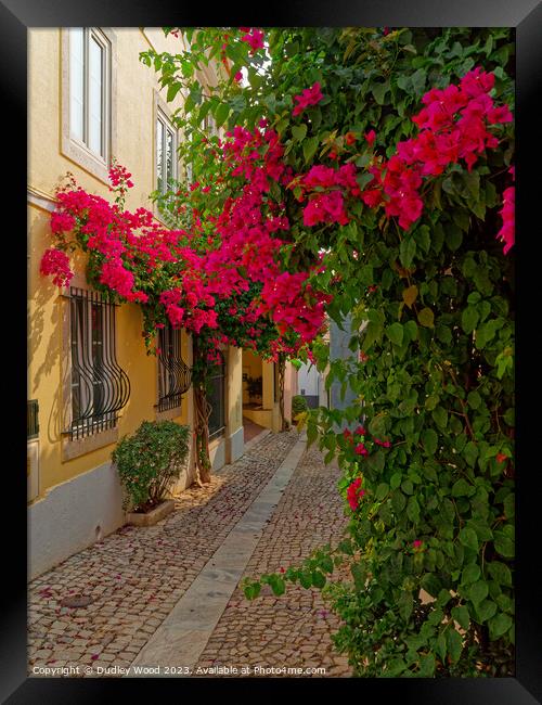 "Vibrant Charm of Cascais' Cobbled Lane" Framed Print by Dudley Wood