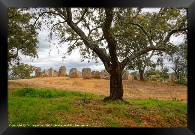 Stone monoliths Framed Print by Dudley Wood