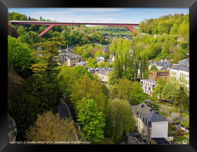 Pfaffenthal Framed Print by Dudley Wood