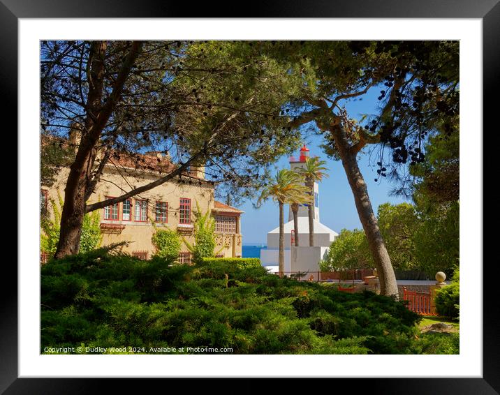 Santa Maria gardens Framed Mounted Print by Dudley Wood