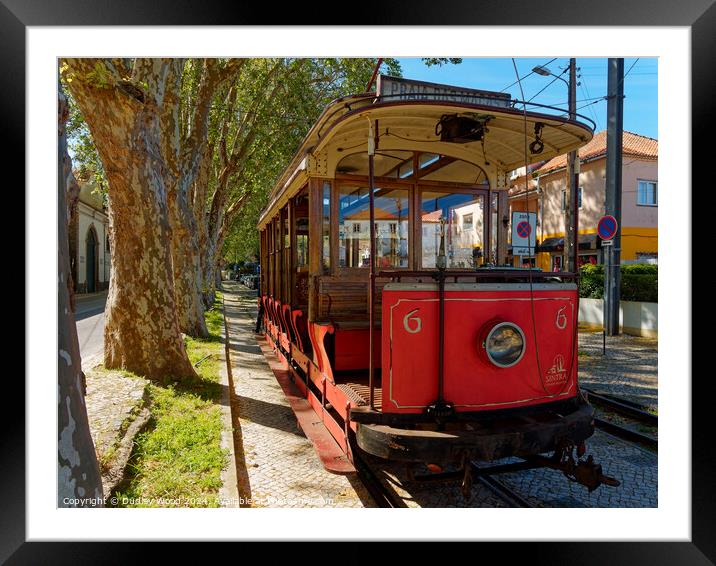 Red tram 2 Framed Mounted Print by Dudley Wood