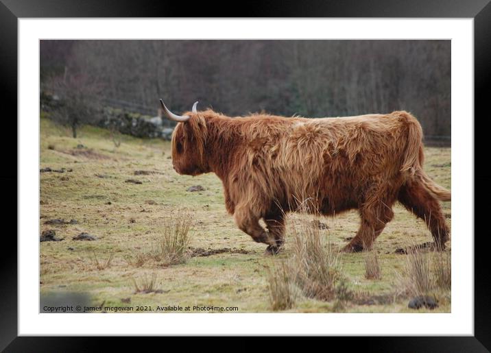 On Patrol Framed Mounted Print by james andrew mcgowan