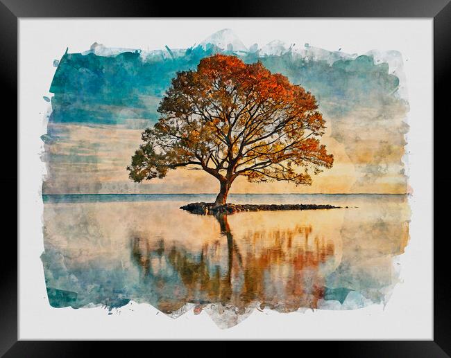 Lone Tree At Sunset Framed Print by Artificial Adventures