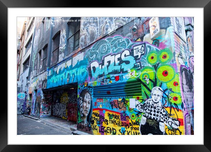 Street Art Melbourne  Framed Mounted Print by martin berry