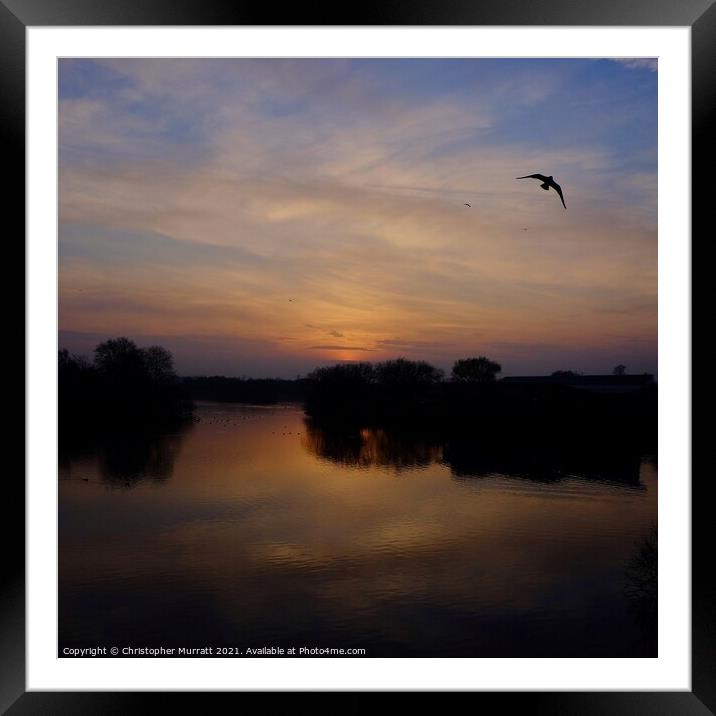 Sunset flight  Framed Mounted Print by Christopher Murratt