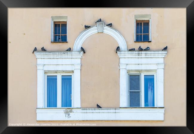 Facade with pigeons Framed Print by Alexander Usenko