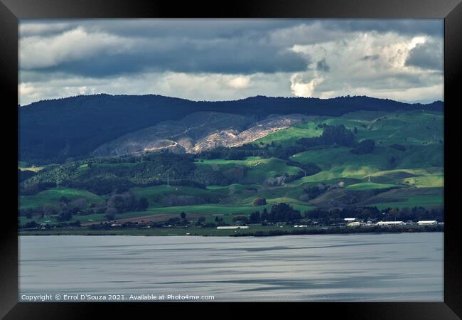 Sun Dappled Hills of Rotorua in New Zealand Framed Print by Errol D'Souza