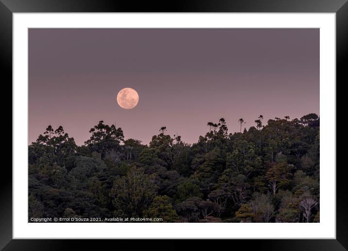 Matapouri Moonrise Framed Mounted Print by Errol D'Souza