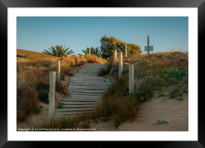 Matapouri Bay Beach Access Stairs Framed Mounted Print by Errol D'Souza