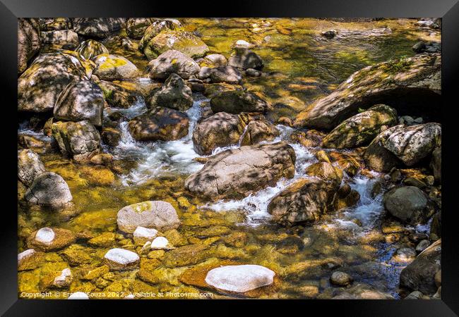 Rocky Water Pool in the Daintree Rainforest Framed Print by Errol D'Souza