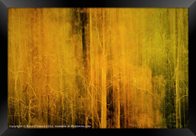 Ethereal and Mysterious Woodlands Framed Print by Errol D'Souza