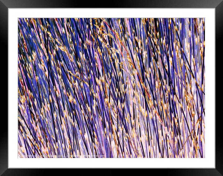 Lavender stick bush textured abstract Framed Mounted Print by Errol D'Souza