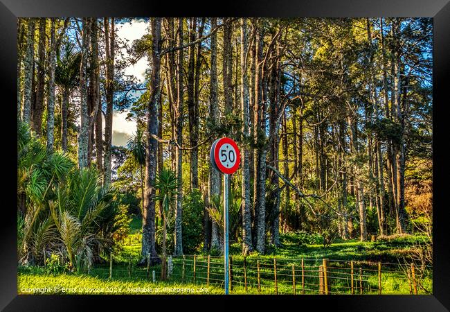 50 speed limit sign against a pine forest Framed Print by Errol D'Souza