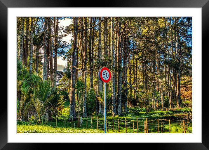50 speed limit sign against a pine forest Framed Mounted Print by Errol D'Souza
