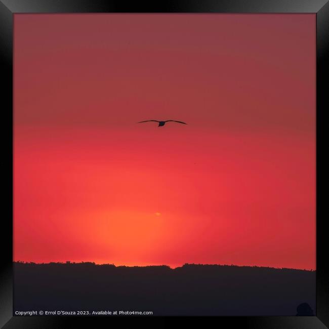 Pilot Bay Sunset Framed Print by Errol D'Souza