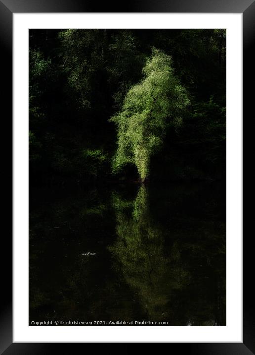 The Ethereal Tree Framed Mounted Print by liz christensen