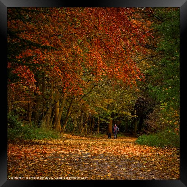 Autumn Walkies Framed Print by liz christensen