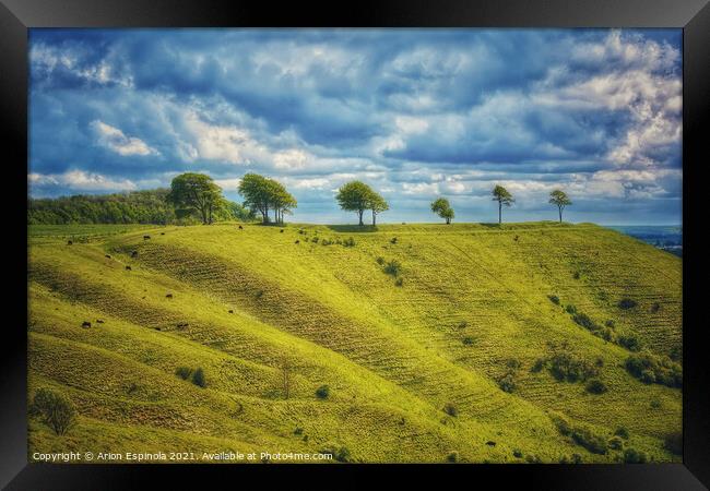 Leipzig Plantation and Roundway Hill Framed Print by Arion Espinola