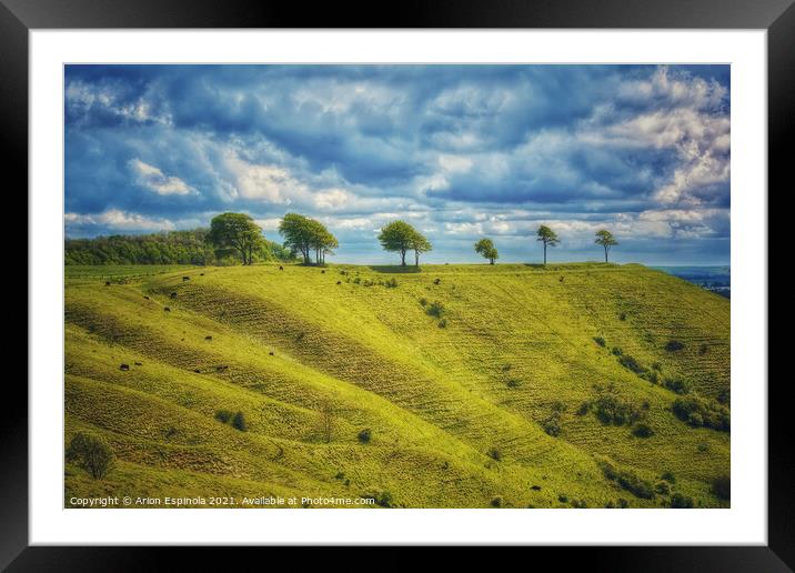 Leipzig Plantation and Roundway Hill Framed Mounted Print by Arion Espinola