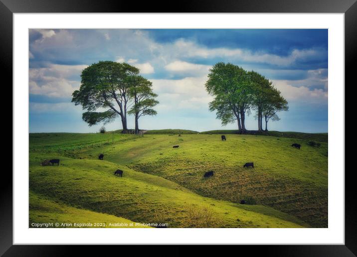 Cows on a lush green Roundway Hill Framed Mounted Print by Arion Espinola