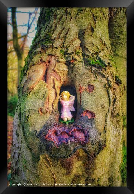 Fairy on the tree Framed Print by Arion Espinola