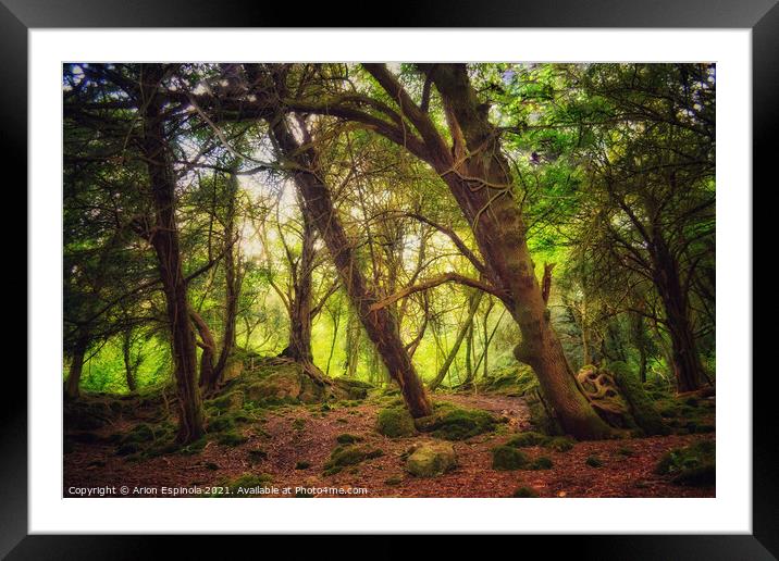 Magic Bathampton woodland, England  Framed Mounted Print by Arion Espinola