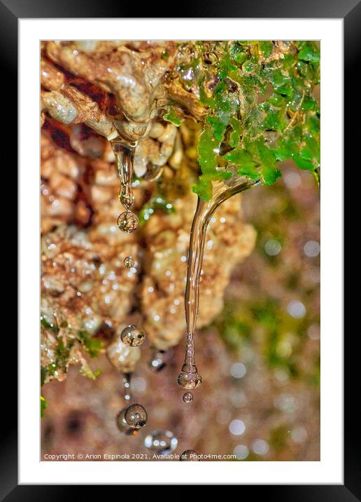 Water Droplets in The forest  Framed Mounted Print by Arion Espinola