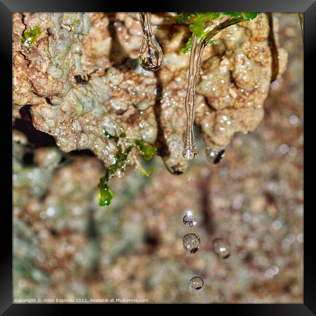 Droplets at the Bathampton woods  Framed Print by Arion Espinola