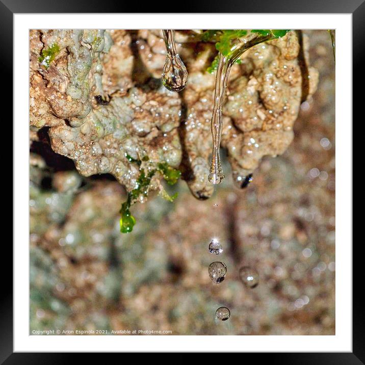 Droplets at the Bathampton woods  Framed Mounted Print by Arion Espinola