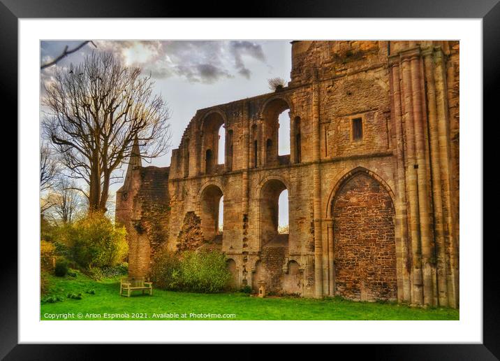 The ancient Abbey Framed Mounted Print by Arion Espinola