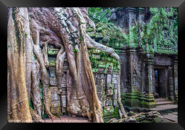 a Prohm the tomb raider temple in Angkor Cambodia Asia	 Framed Print by Wilfried Strang