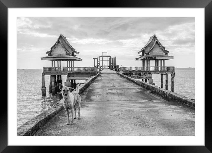 A  street dog at a pier leading to an unfinished temple Framed Mounted Print by Wilfried Strang