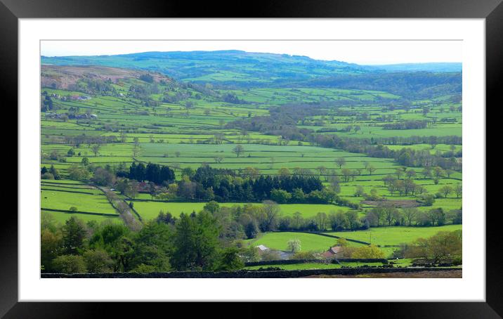 Glaisdale Head, North Yorkshire Framed Mounted Print by BARBARA RAW