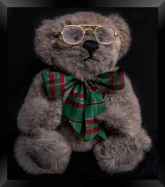 Gorgeous Brown Teddy Bear with gold glasses and a  Framed Print by Maggie Bajada